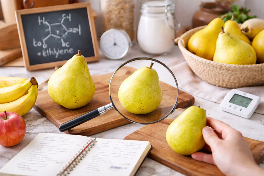 ルレクチェが渋い原因